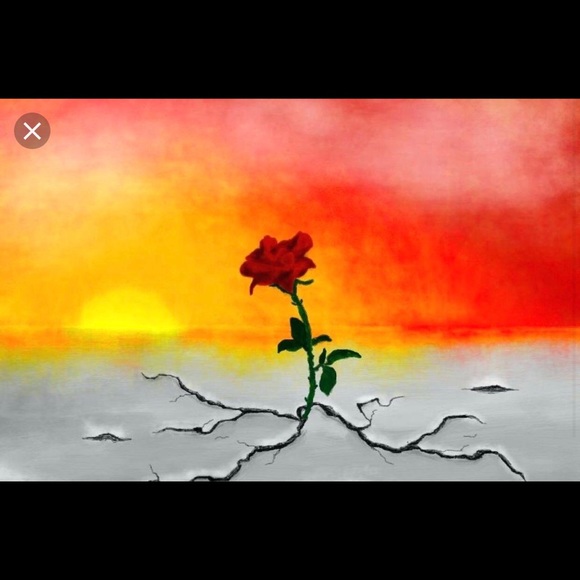 Meet your Posher, Watta - Picture 3 of 8